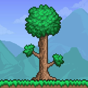 Обложка Terraria